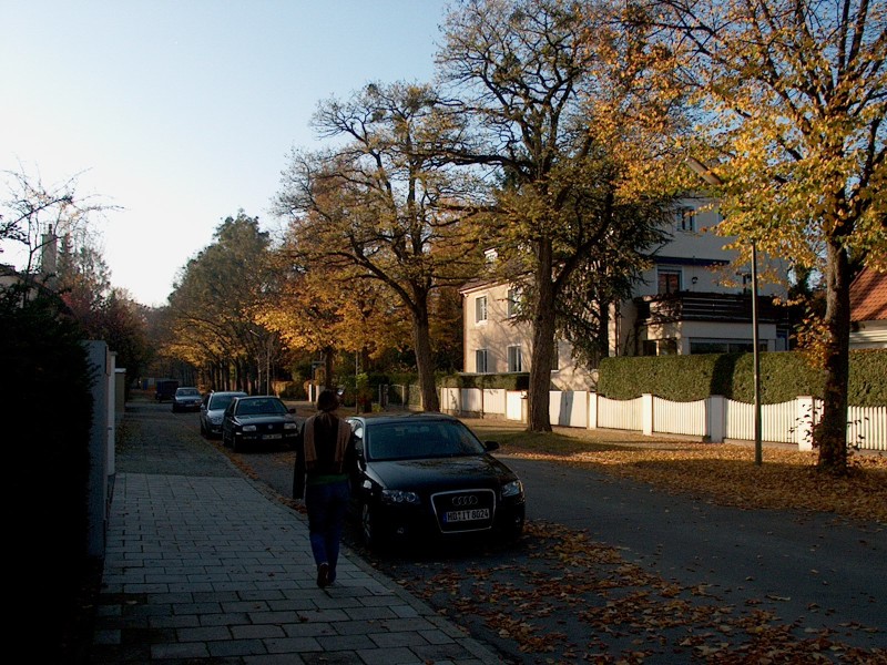 Nyphenburger Park 027 